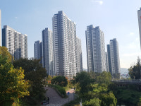 로또 분양 노리자 과천·의왕에 물밀듯…덕분에 전셋값 폭발