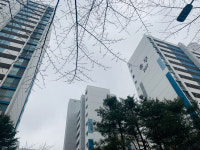 1기신도시 꼴찌였던 군포, 리모델링·GTX로 집값 폭발