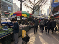 1700만원짜리 점포도 안 사!…20년째 버려진 유령상가