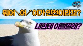 [땅집고 자갈치] 가재울역 트루엘 에코시티이이~~? 마 이래가 팔리겠나