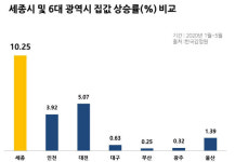 서울 집값 연말쯤 꺾인다…김포·세종은 계속 오를 것