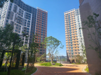 GTX-A역 도보권…아직 싸긴 한데 주변 공급물량 한가득ㅣ운정 중흥S클래스