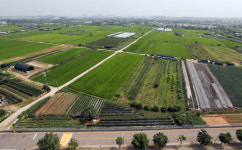 3기신도시에 아파트 더 짓는다…네덜란드 로테르담처럼 콤팩트 시티로