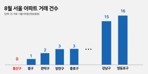 초대형 호재도 무용지물…용산도 그야말로 시장 마비