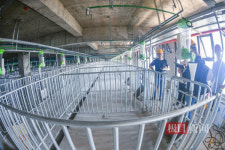 평범한 건물인 줄 알았는데…여러모로 충격적인 돼지 빌딩