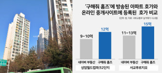 9억짜리 수두룩한데 12억?…구해줘 홈즈 보고 경악