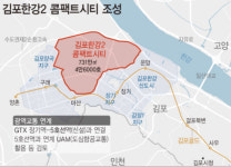 5호선 초대박 호재도 안 통해…여전히 추락하는 김포 집값