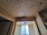 이 정도면 폐가 아냐?…SH 임대아파트 환골탈태할까