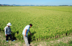 주말 농막서 하룻밤이 낙이었는데…농막 규제 강화에 부글부글