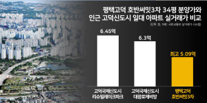 시세보다 1억 저렴한 삼세권 아파트…대중교통, 실거주 3년은 걸림돌 | 평택고덕 호반써밋3단지