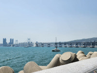 40억 넘어도 대기자 줄 섰죠 불황 모르는 해운대 초고가 아파트