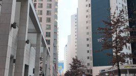 숨이 턱 막히는 용적률 600% 송파 15억짜리 K-닭장아파트