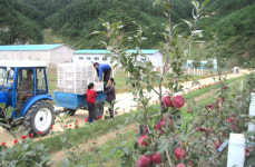 북한 과수부문 2021사회주의 경쟁총화···우승단위는 북청군