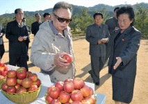 북한 과수부문 2021사회주의 경쟁총화···우승단위는 북청군