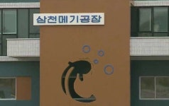 김정은이 네 번이나 방문했던 삼천메기공장…북한 내수면 양식의 주요 어종