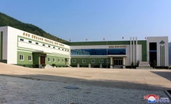 북한 지난해 대비 고려약 2배 이상 증산 코로나 예방과 치료에 효과 있어