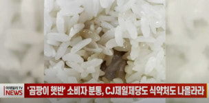 곰팡이 햇반 유통 중인 CJ제일제당, 발견되면 교환은 해드릴게