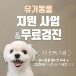 도그마루 유기동물 지원 사업으로 반려 문화에 앞장