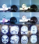 예술로 본 인간의 뇌 브레인 아티스트 호두, 국내 첫 전시 성료