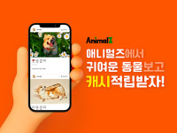애니멀즈,기존 동물 인스타그램 서비스에 앱테크 결합, 리워드 시스템 업데이트