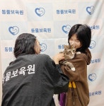 동물보육원, 파양된 고양이, 강아지 입양시 미팅 3회 요청 시스템 도입