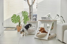 (반려산업)하밋, 펫 하우스 룩앳미 look at me 런칭