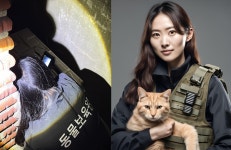 동물보육원, 길고양이 구조, 활발한 활동 이어가