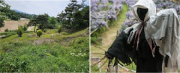 서울새활용창업지원센터 입주기업 날아오름(주), 버려진 농산물과 공간 재활용하는 농촌 재생 뉴딜 프로젝트 진행