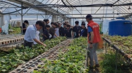 황후딸기농장, 학생들과 함께하는 딸기 체험학습 프로그램 운영