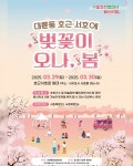 벚꽃이 오나, 봄  제주 대륜동 일대 첫 벚꽃축제