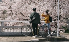 제주 봄바람 속 자전거와 함께하는 벵가스테이