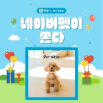 펫바이블, 네이버 기획전 및 오늘의 브랜드 선정…특별 라이브 방송 예정