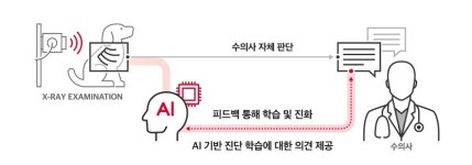 SKT-충남대, 동물용 AI기반 영상진단 보조 솔루션 개발 MOU