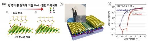 손상된 기능 스스로 회복하는  자가치유 2차원 반도체 소자 개발