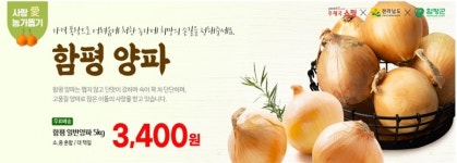 우체국쇼핑, 가격 폭락한 함평 양파 판매 나서
