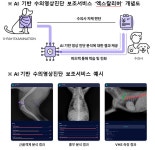 아파도 말못하는 동물의 질병진단, AI가 돕는다.... SKT, AI기반 동물영상진단 보조서비스 출시