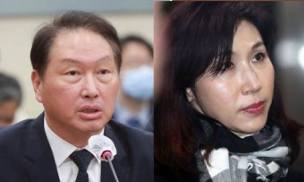 최태원·노소영 이혼.... 재산분할 665억 '재벌가 최대 규모'