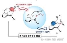 포항공대, 4전자 산화환원 활성 가능한 친환경 촉매 개발