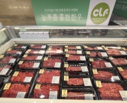 농협경제지주, 롯데백화점서 늘푸름홍천한우 판매전 진행