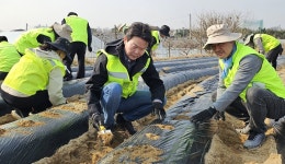 농협중앙회 조합구조개선부, 농촌일손돕기 실시