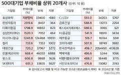 대기업 10곳 중 6곳 부채비율 100% 넘어 … 효성화학 완전자본잠식, 한성자동차 2320% 최고