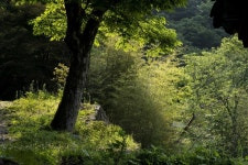 [이창수의 지리산 이야기] ③ 연곡사 부도 길