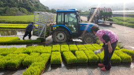 [이창수의 지리산 이야기] ④ 악양