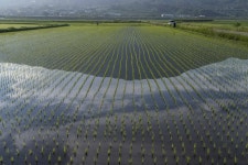 [ 이창수의 지리산 이야기 ] ⑥ 악양 들판에서 만난 아저씨