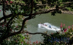 [이창수의 지리산 이야기] ⑫ 섬진강 꽃구름 놀이