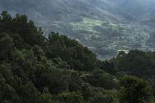 [이창수의 지리산 이야기] ⑬ 비 온 뒤 빛 산책