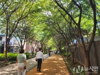 [날씨] 개천절 아침 찬 바람에 쌀쌀…내일(4일) 전국에 구름