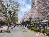 [날씨] 10일(수) 총선일, 전국 맑고 포근…산불 주의