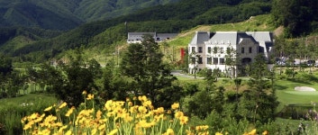 [안성찬의 골프톡톡] 여름에도 시원한 샤인데일 골프&리조트, 9주년 맞아 그린피 특가 이벤트