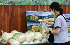 온라인도매시장서 배추·천일염 최대 20% 할인 판매